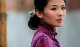 刘涛全部电视剧,从古装佳人到现代都市女性的华丽蜕变