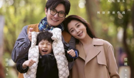家庭情感电视剧大全,温情脉脉，共筑美好家园