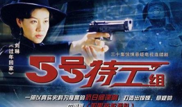 五号特工组电视剧,智勇双全，共赴国难