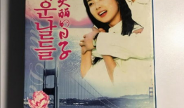 美丽的日子电视剧韩剧,穿越时空的浪漫邂逅